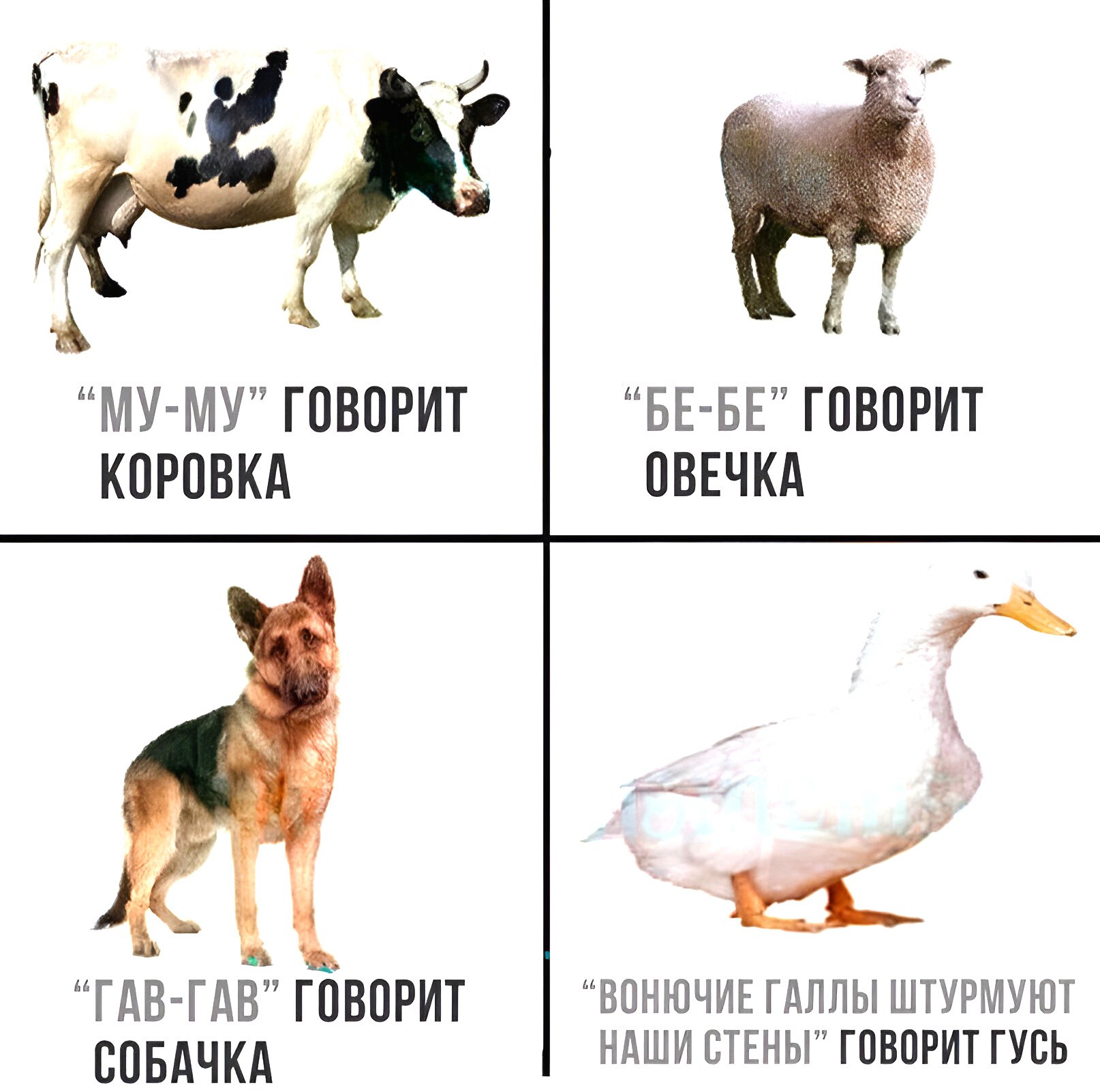 Гусь. 