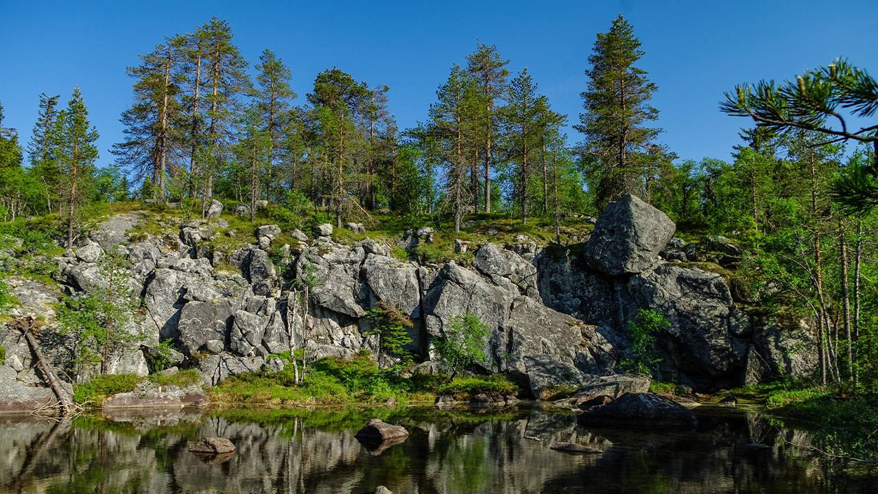 Пизанец Озеро В Карелии Фото