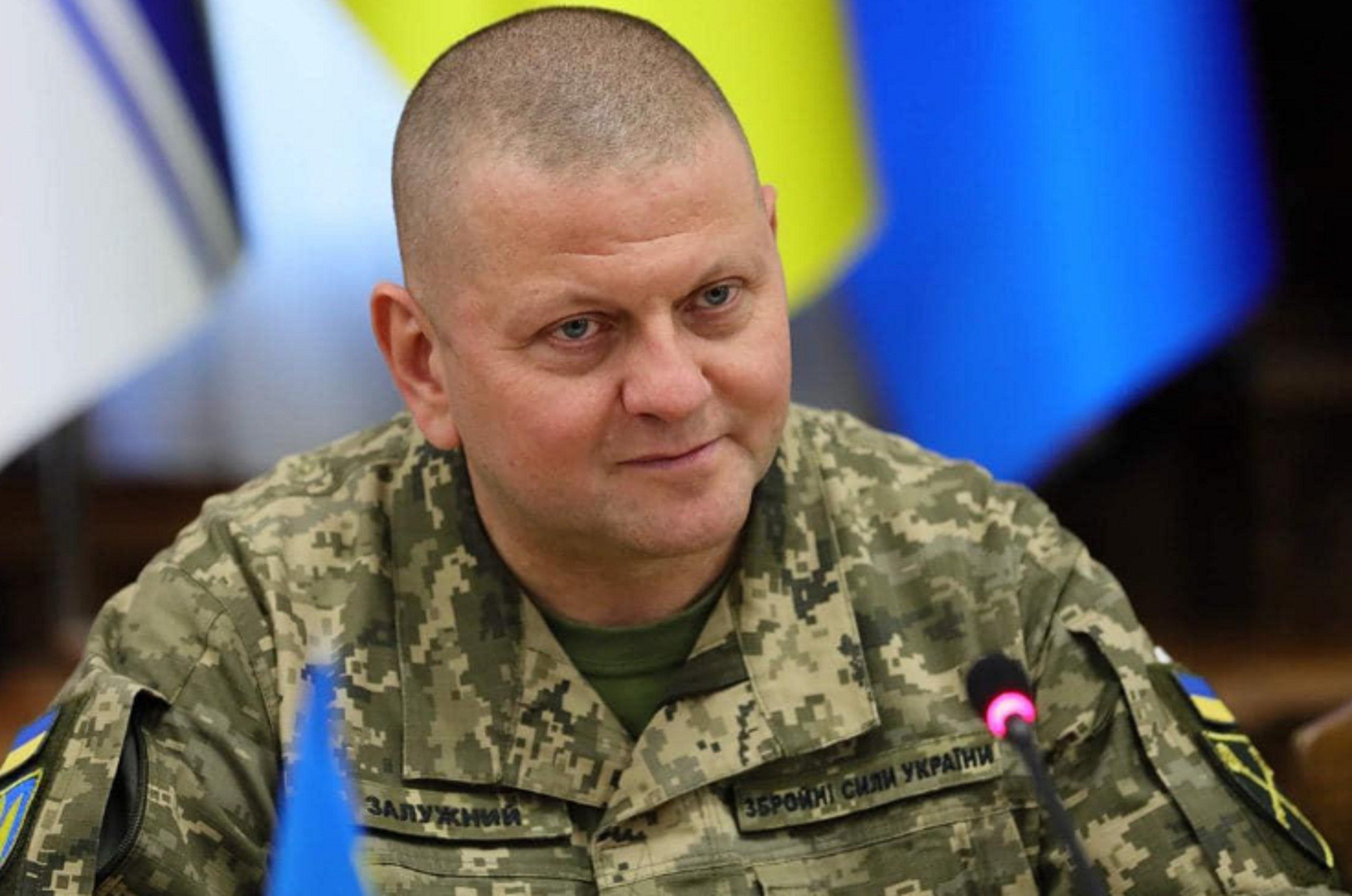 Залужный великобритания. Залужный великобритания. Залужный министр обороны украины. Залужный великобритания. Залужный главнокомандующий всу.