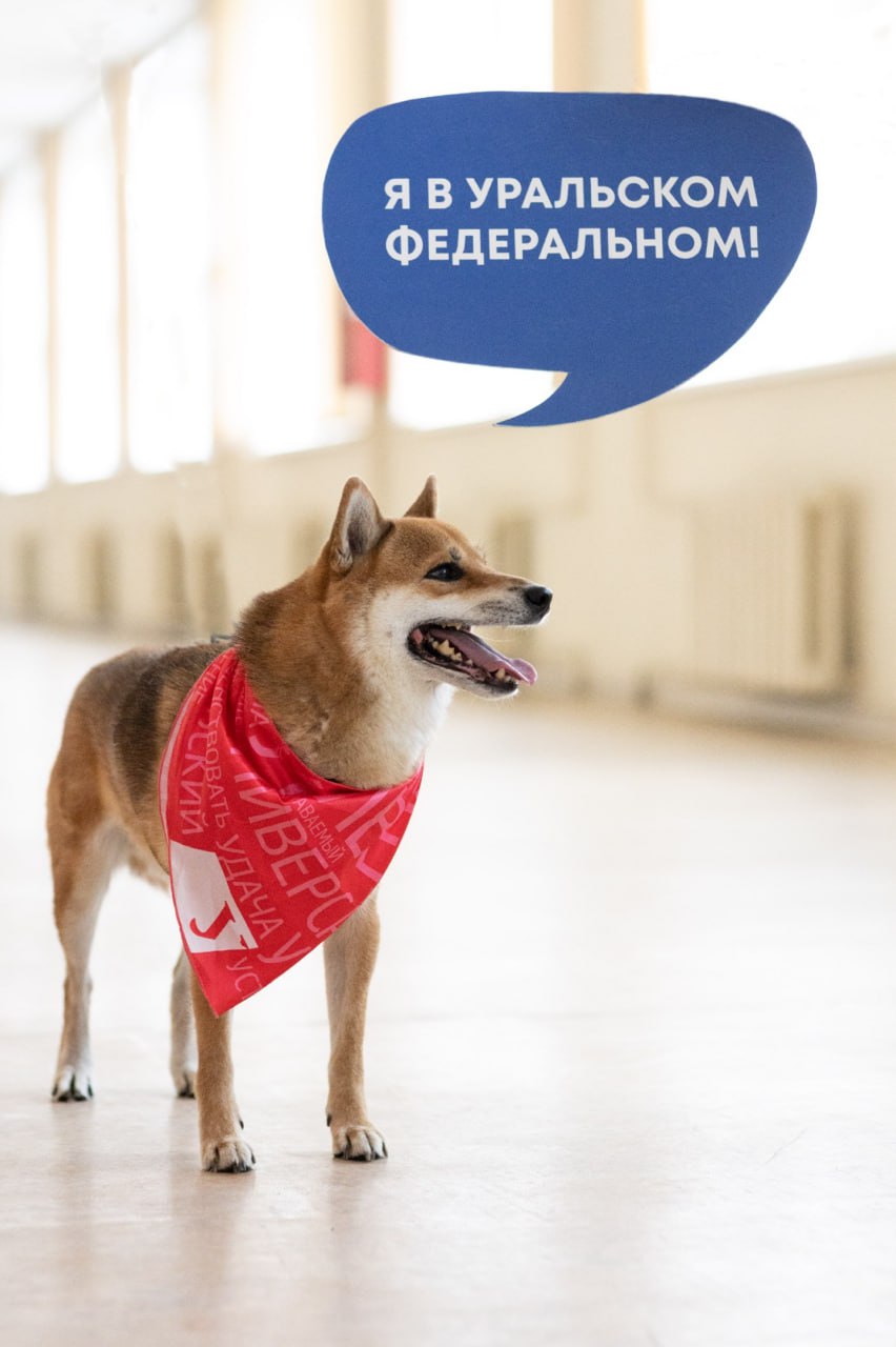 Урфу прием 2025. Урфу прием 2025