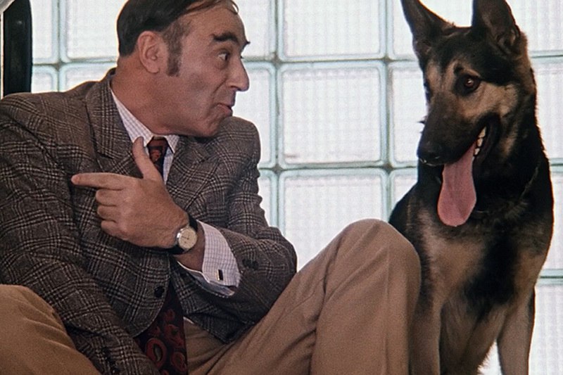 три портсигара отечественных куртка замшевая. три магнитофона три портсигара отечественных куртка замшевая три. два магнитофона две куртки замшевые. три куртки замшевые три магнитофона три кинокамеры. три портсигара три магнитофона куртка замшевая три.