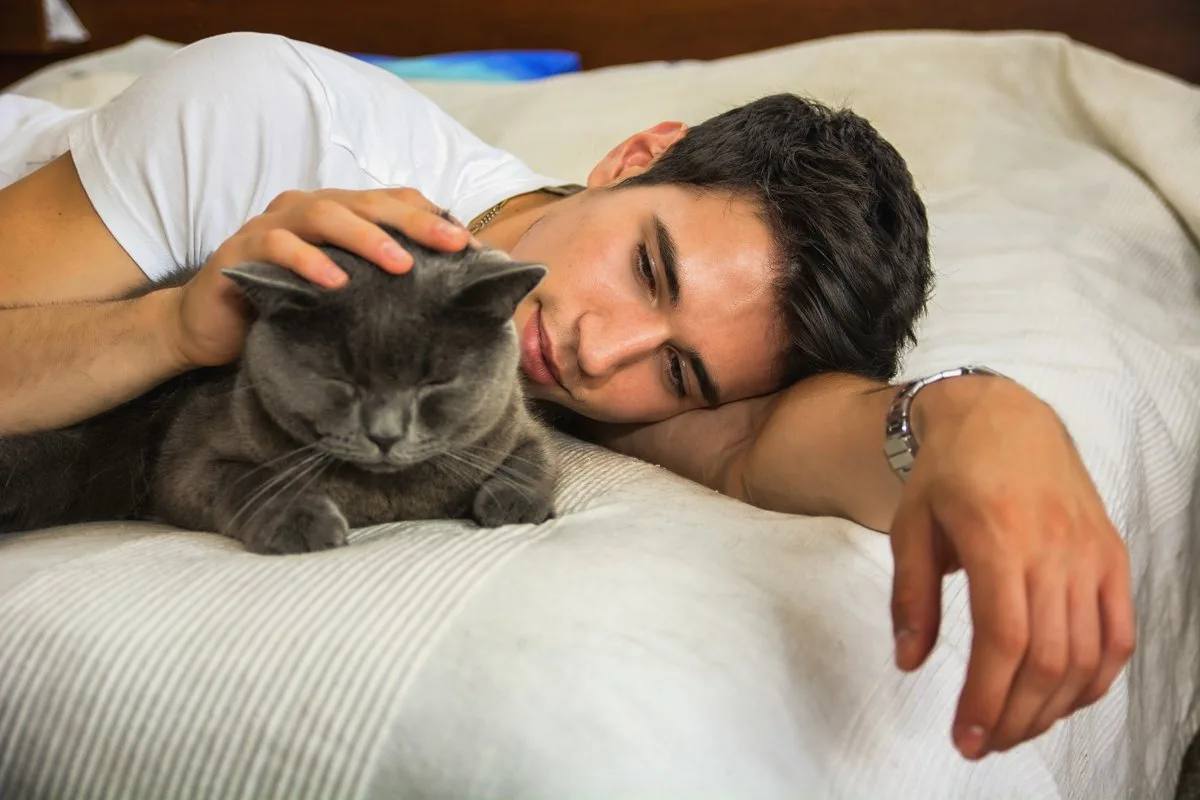 Котенок в постели. Парень с кошкой. Мужчина лежит на мужчине. Спящий парень и кот. Кошка рядом с человеком лежит.