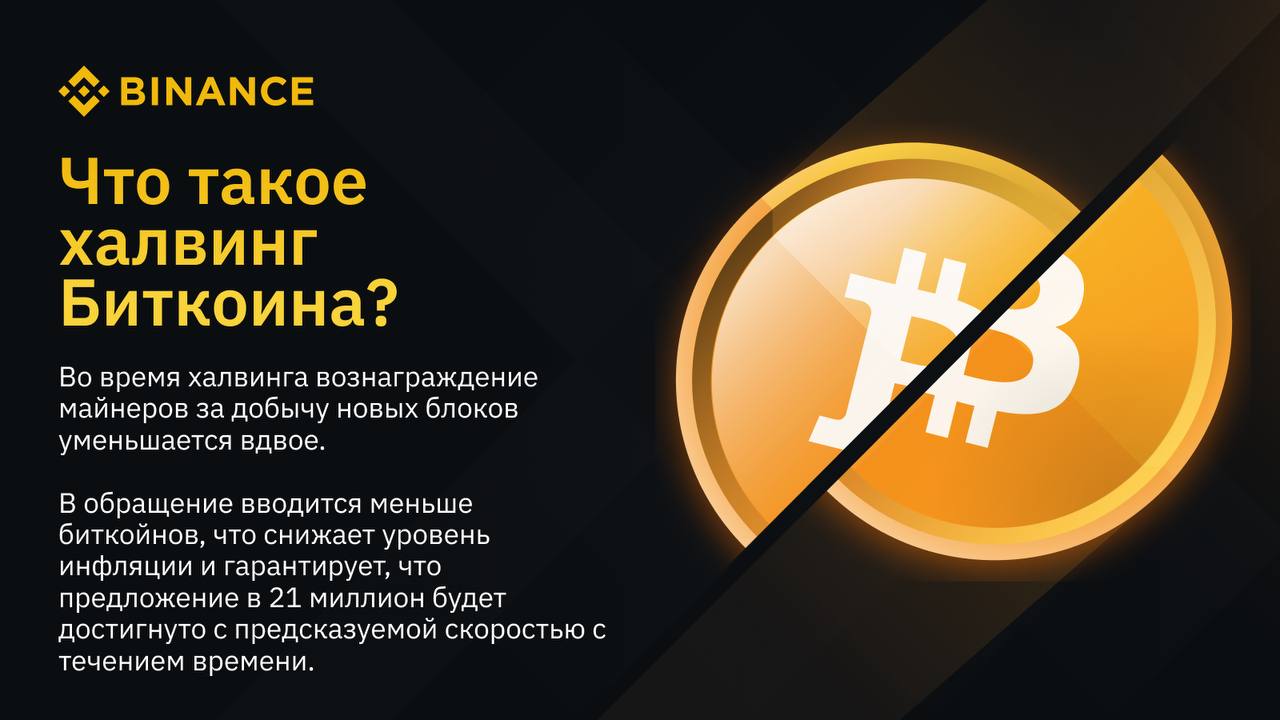 Что ждать после халвинга
