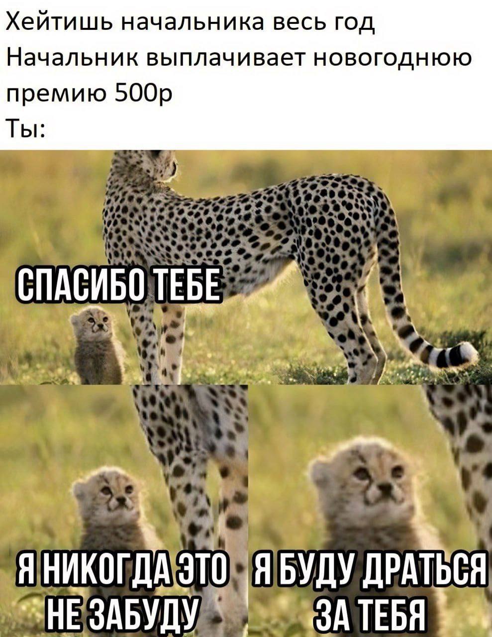Текст привет на тебя заказали докс