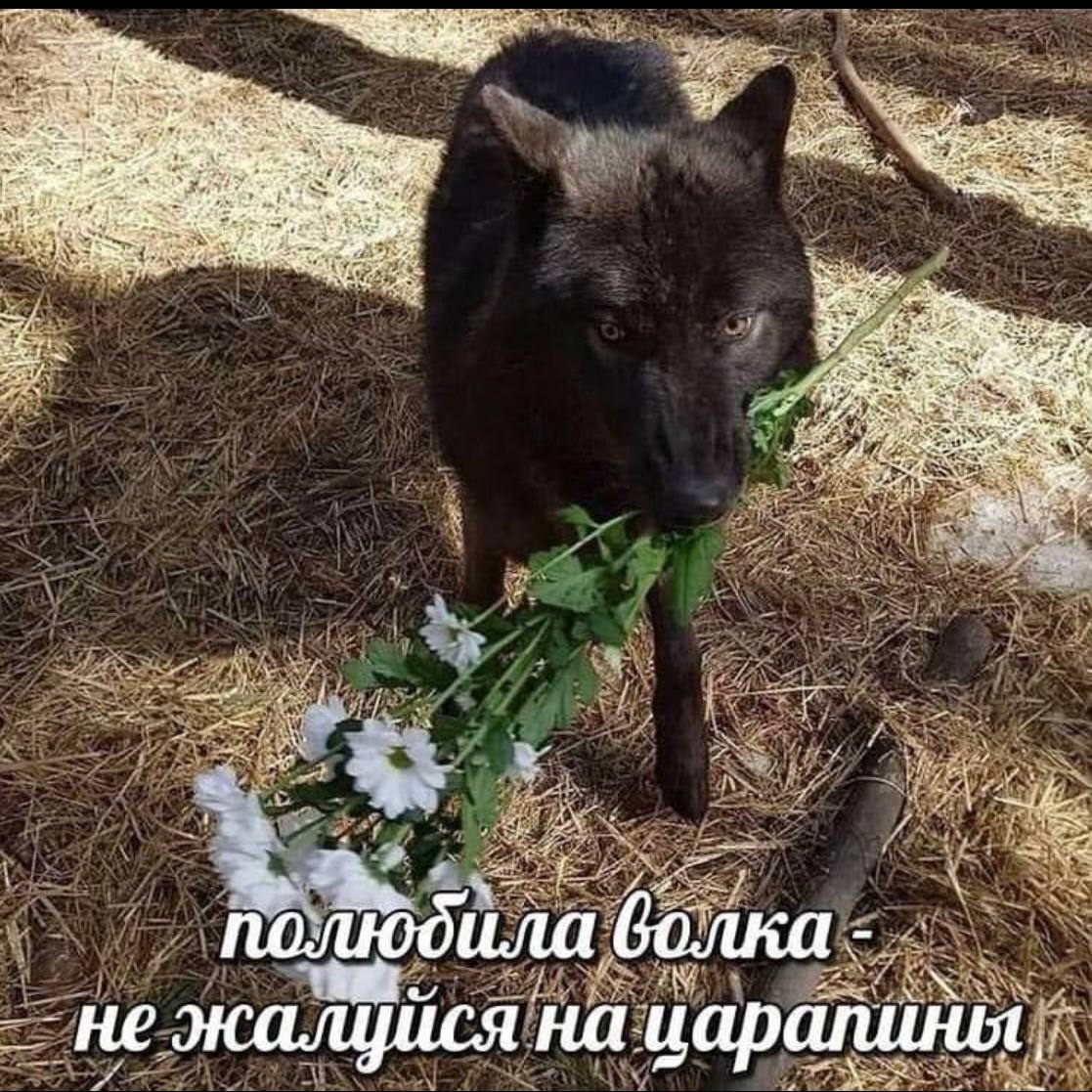 Публикация #141 — Digital трафик (@trafficisobar)