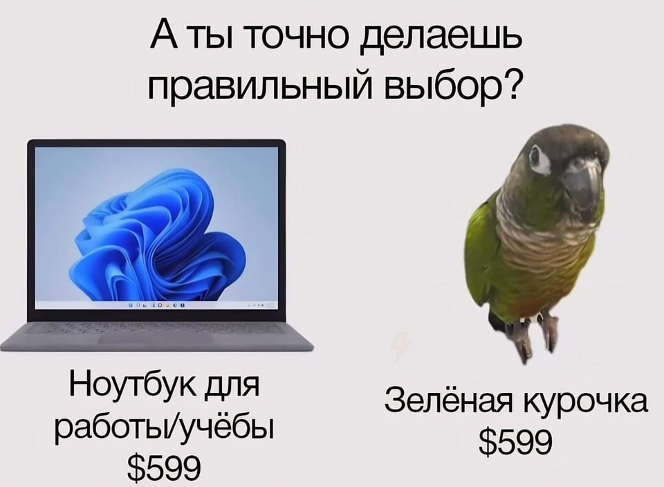 Каргач телеграмм