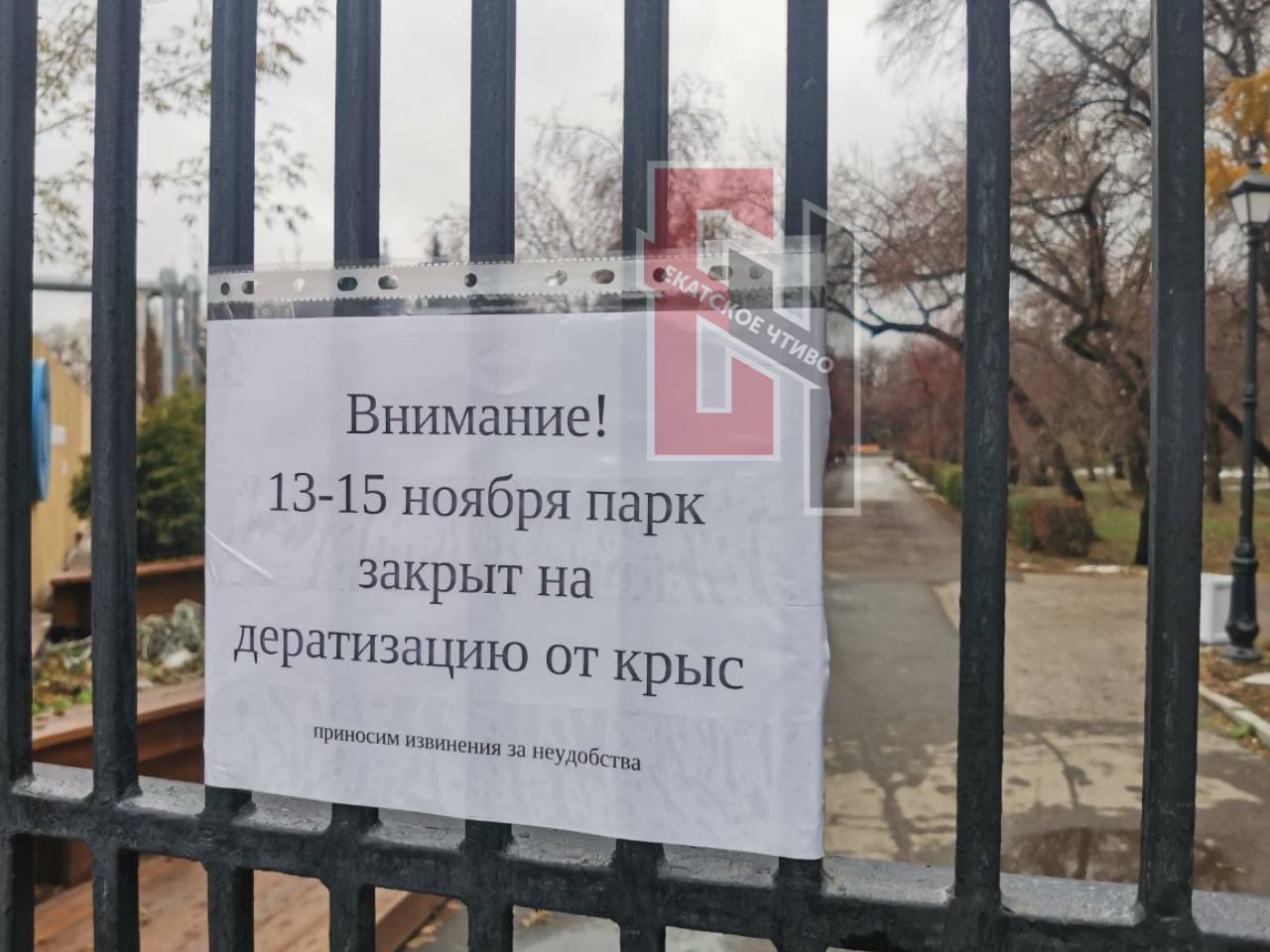 В <b>парке</b> с 13 по 15 ноября будут бороться с крысами и мышами. 