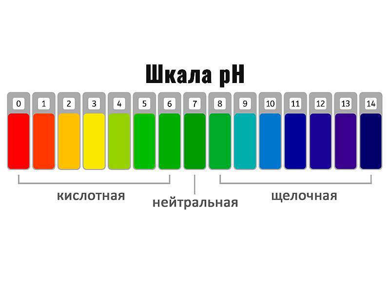 Какая пш. Шкала водородного показателя ph растворов. Какая пш. Какая пш. Шкала водородного показателя рн.