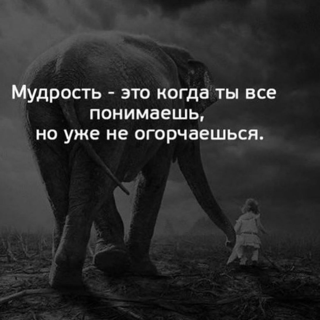 Статусы актуальные на сегодняшний день в картинках со смыслом