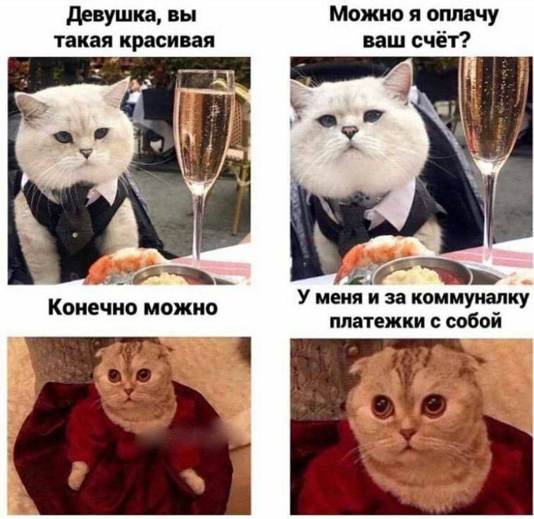 Мемы 4 декабря 2025