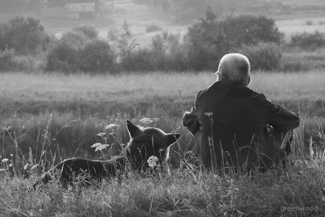 Старый друг. Старые друзья картинки. Старый друг Евтушенко. Мне снится старый друг который стал. Мне снится старый друг который стал врагом.