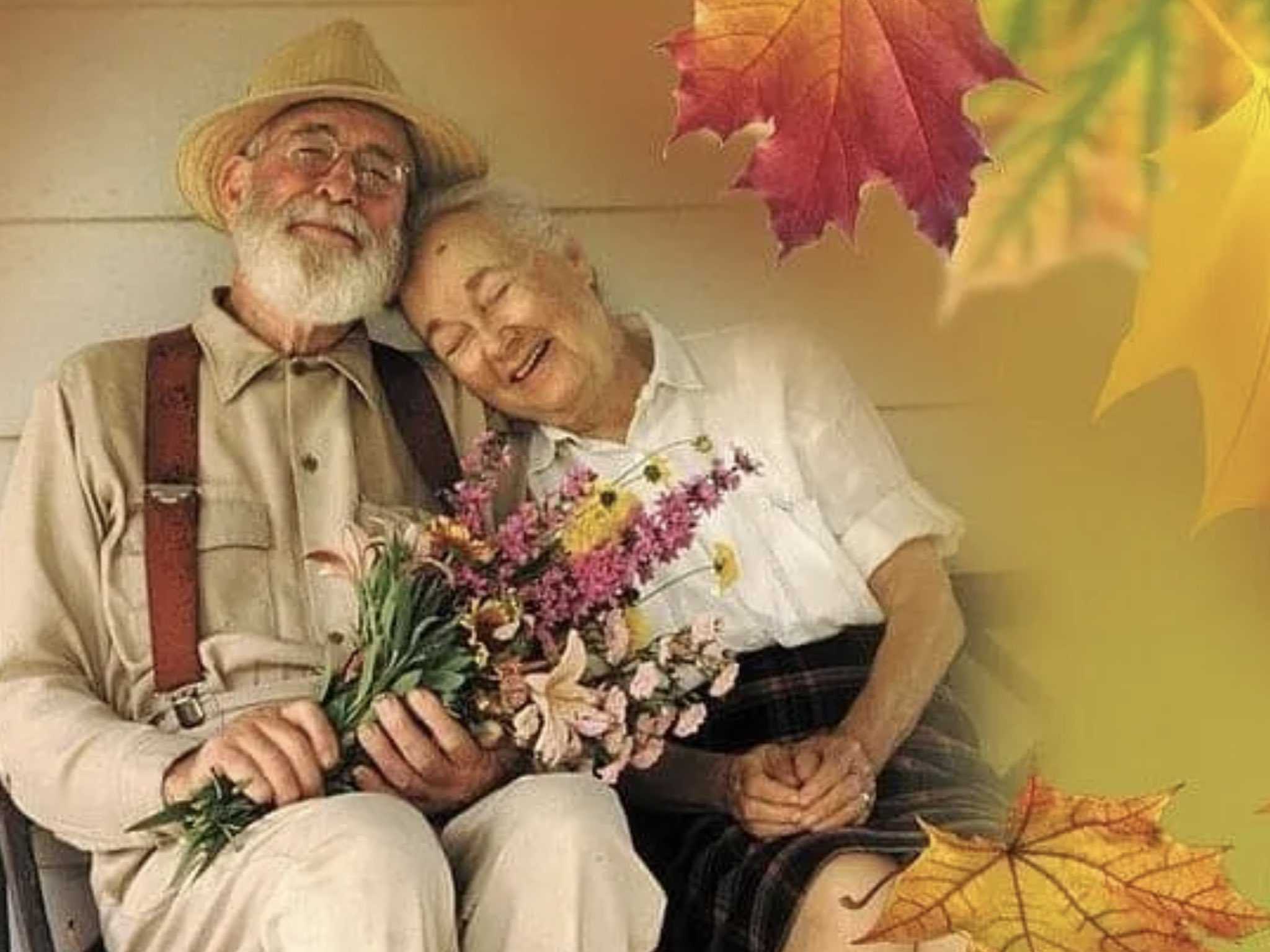 Красивые картинки бабушки и дедушки. Бабушка и дедушка. Фотографии бабушек и дедушек. Счастливые бабушка и дедушка. Пожилые люди с цветами.