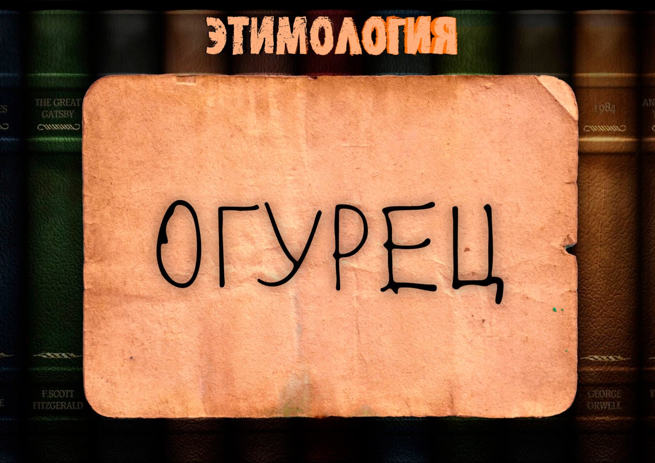 Загадка про огурец для малышей. Этимология слова огурец. Римский огурец фразеологизм. Этимология слова огурец. Текст описание про огурец 3 класс.