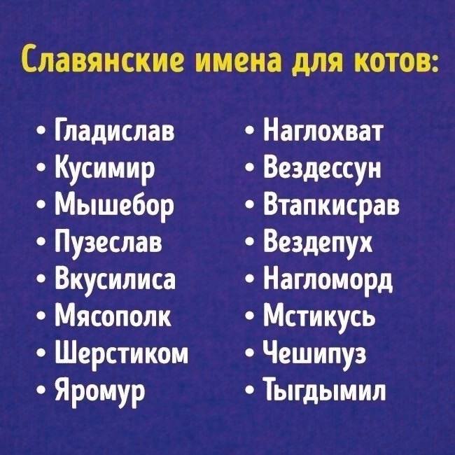 Древнерусские клички собак мем