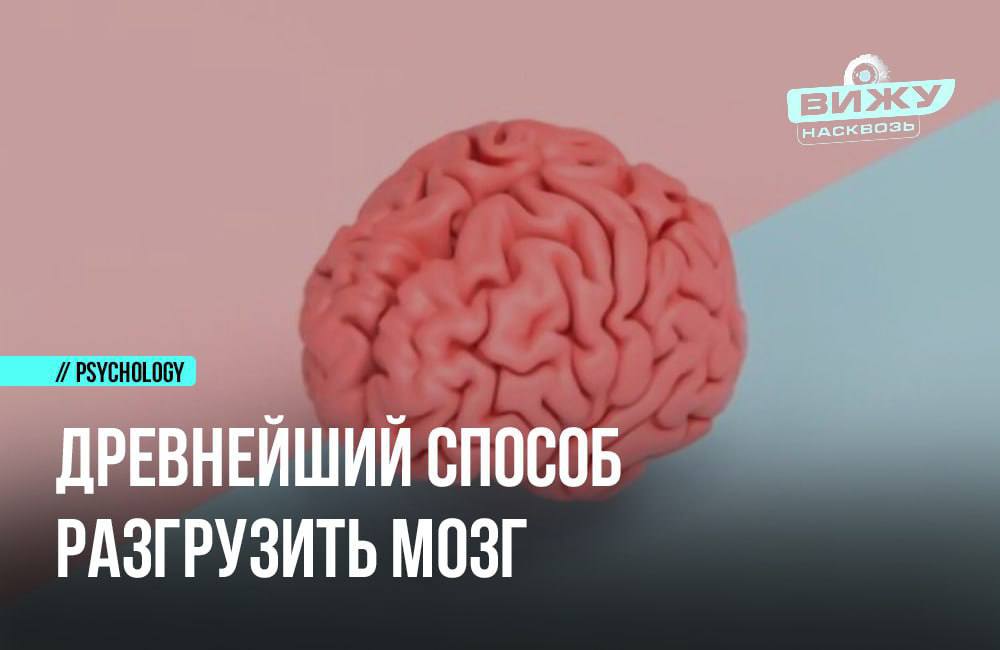 Разгрузи мозги. Разгрузить мозг. Концентрация мозга. Мозг отдыхает. Как разгрузить мозг от информации.