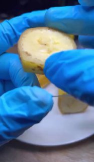 Поразительные цветные микрофотографии пыльцы, семян и фруктов